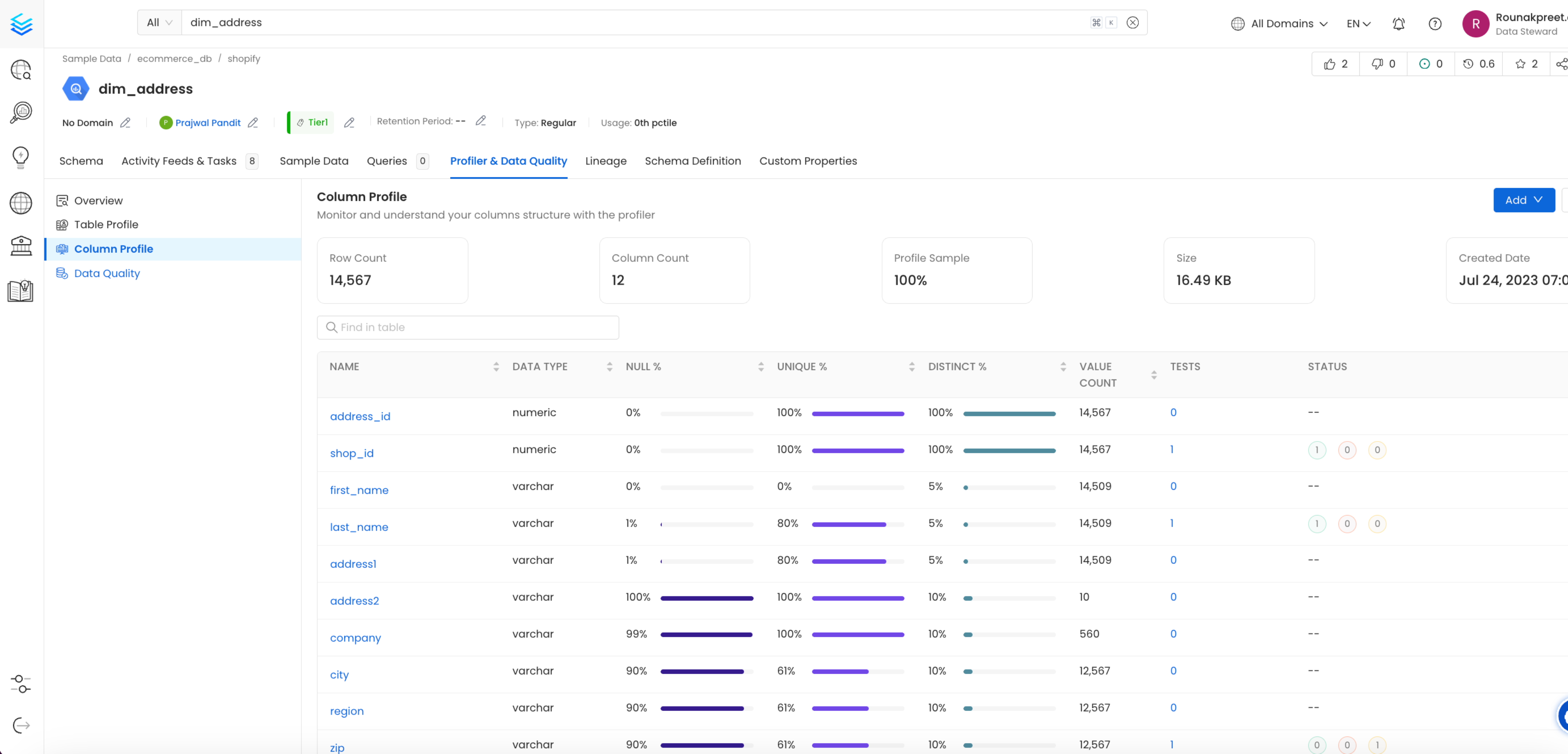 Column profile summary page