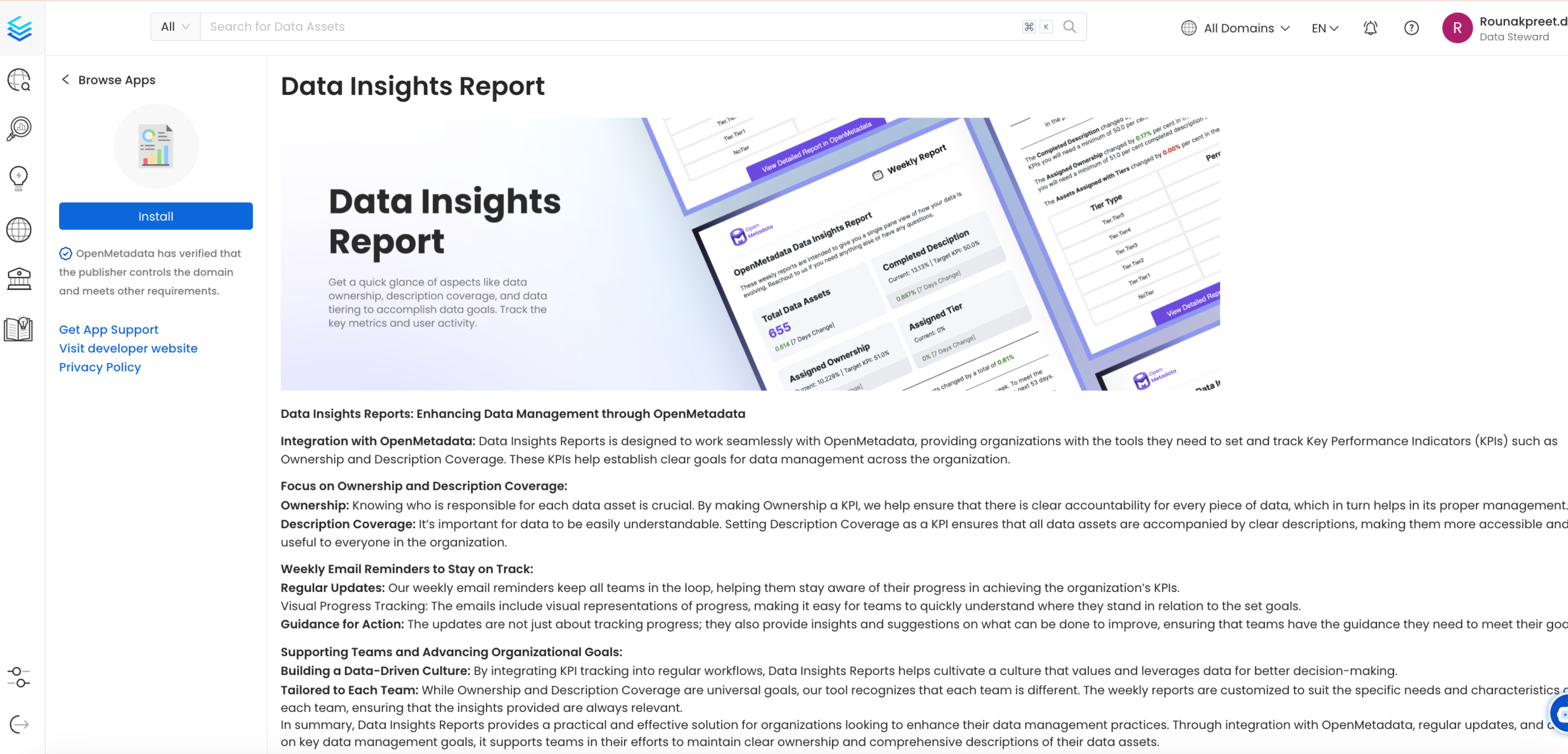 Install the Data Insights Report